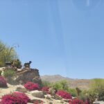 Primavera en California